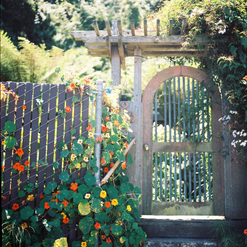 california-wedding-photographer