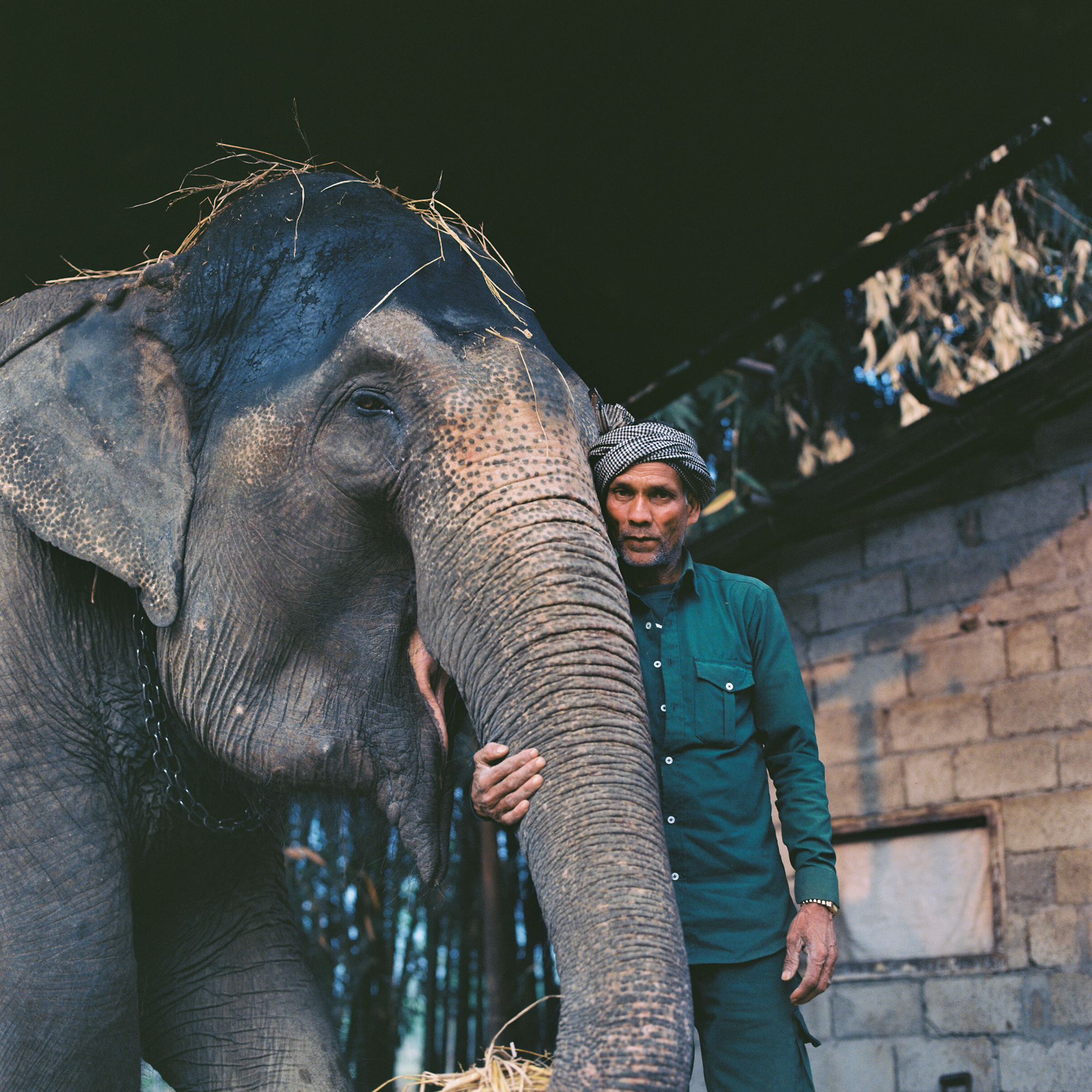 nepal, elephant, man and elephant, travel nepal, film photography, film photo, hasselblad, square photo
