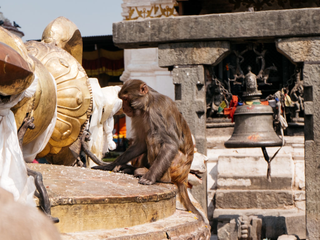 travel nepal