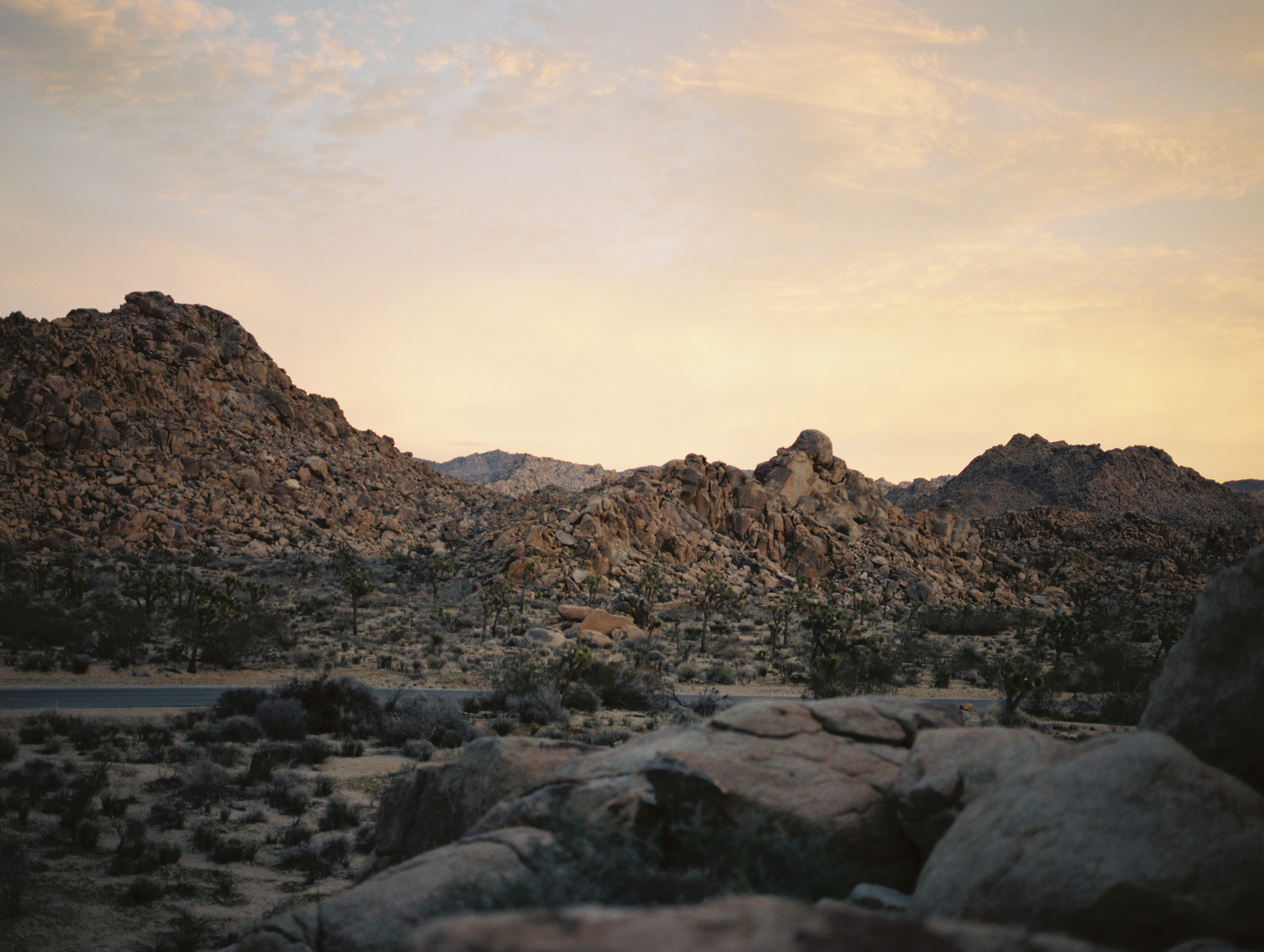 joshua tree national park