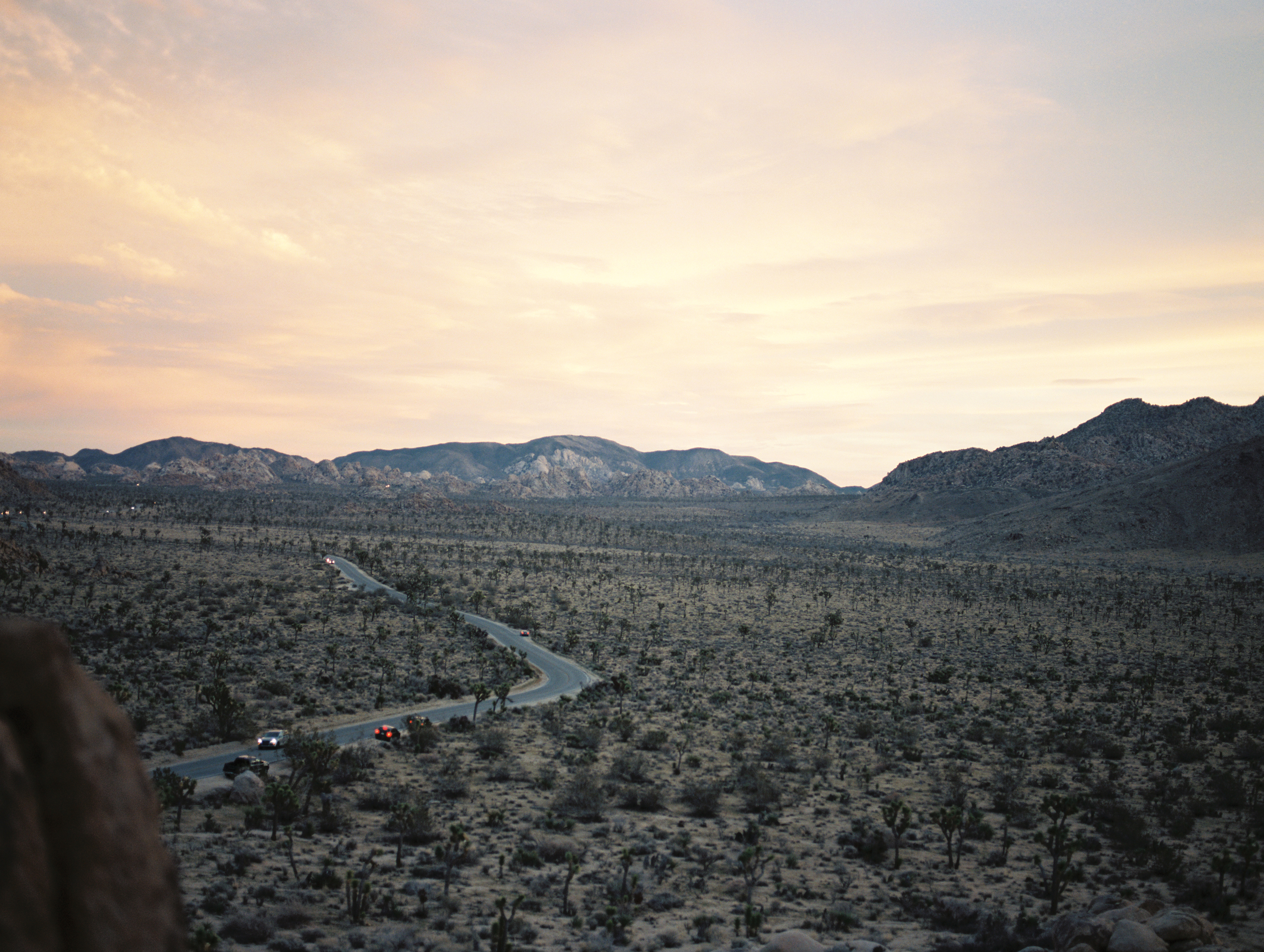 joshua tree national park