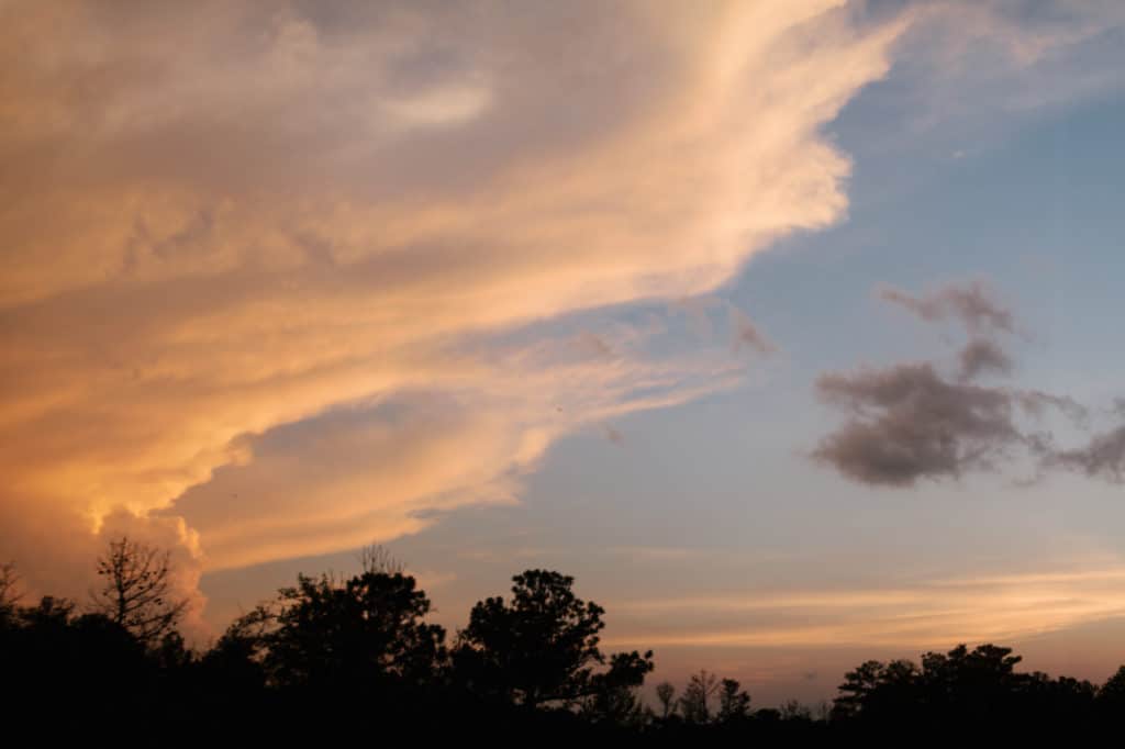 Arabia Mountain sunset engagement session by Kate Lamb of Wild in Love Photo
