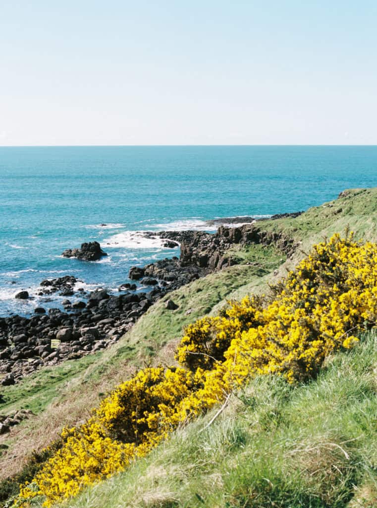 Giants Causeway Northern Ireland photographed on film by Kate Lamb of Wild in Love Photo