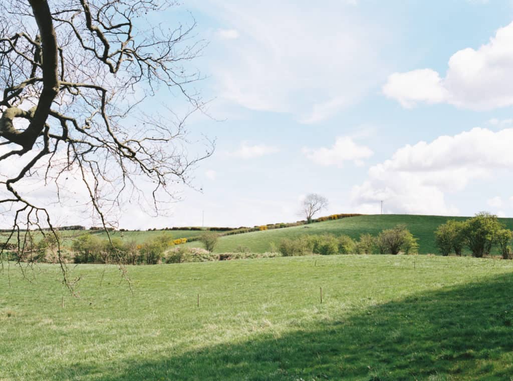 Ireland farmland photographed on film by Kate Lamb of Wild in Love Photo