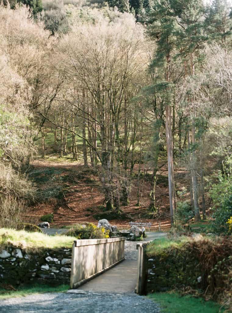 Glendalough Ireland photographed on film by Kate Lamb of Wild in Love Photo.