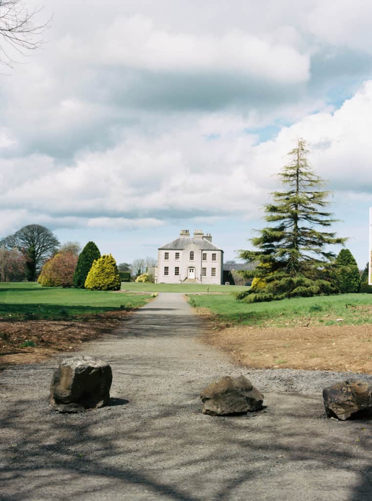 The Dark Hedges in Ballymoney, County Antrim, Northern Ireland photographed on film by Kate Lamb of Wild in Love Photo.