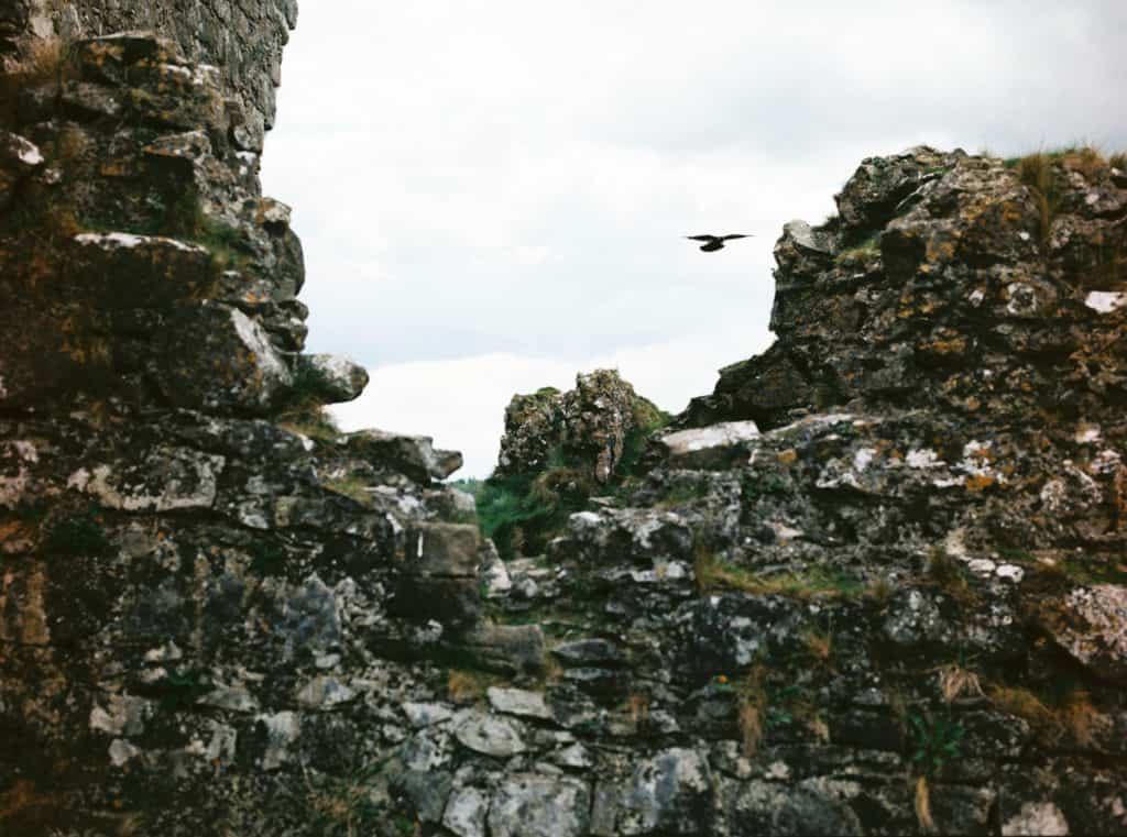 Rock of Dunamase in County Laois, Ireland photographed on film by Kate Lamb of Wild in Love Photo.