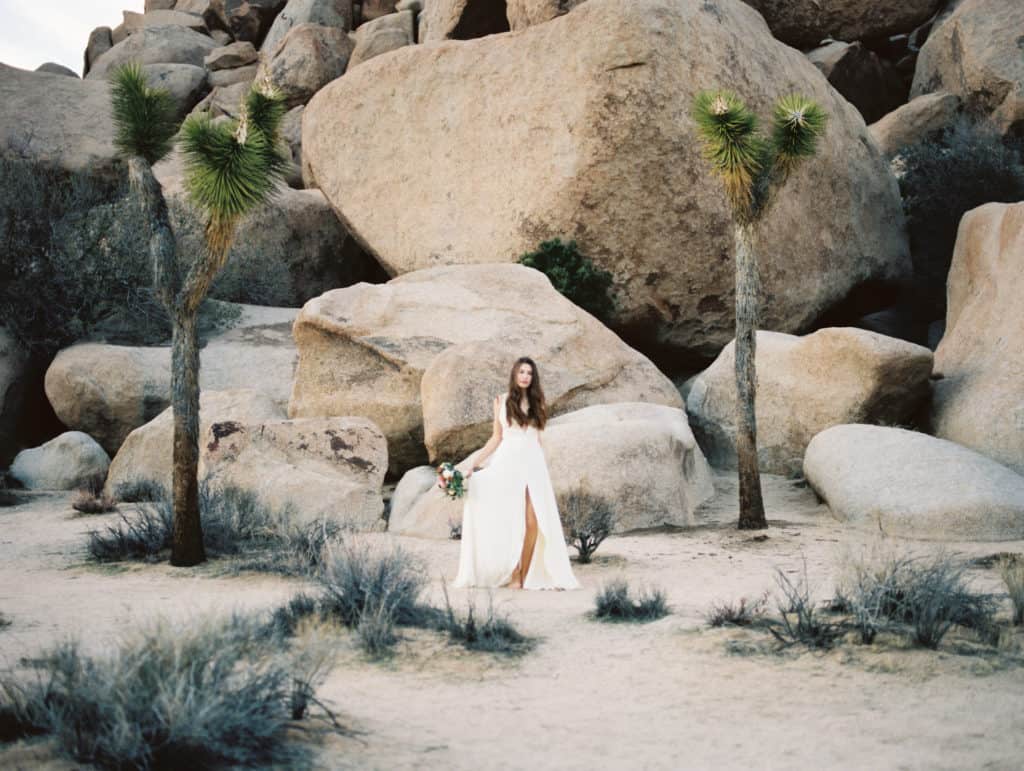joshua tree park wedding